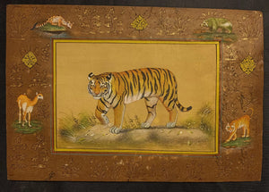 Exquisite Tiger & Wildlife Art, Deer Indian Miniature Painting