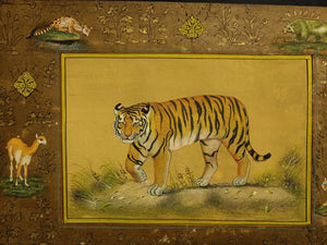 Exquisite Tiger & Wildlife Art, Deer Indian Miniature Painting