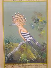 Load image into Gallery viewer, Bird