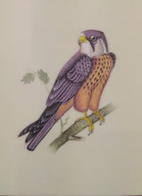 Load image into Gallery viewer, Eagle Bird