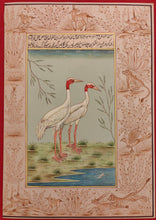 Load image into Gallery viewer, Ostrich Bird Paper Painting Art Collection
