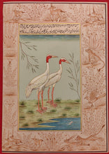 Load image into Gallery viewer, Ostrich Bird Paper Painting Art Collection