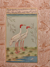 Load image into Gallery viewer, Beautiful Hand Painted Ostrich Bird On Paper Art - ArtUdaipur