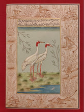 Load image into Gallery viewer, Beautiful Hand Painted Ostrich Bird On Paper Art - ArtUdaipur