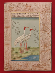 Beautiful Hand Painted Ostrich Bird On Paper Art - ArtUdaipur