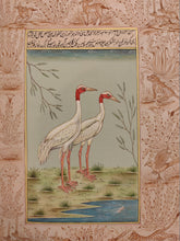 Load image into Gallery viewer, Beautiful Hand Painted Ostrich Bird On Paper Art - ArtUdaipur
