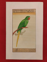 Load image into Gallery viewer, Hand Painted Parrot Bird Birds Miniature Painting India Artwork Paper Nature - ArtUdaipur