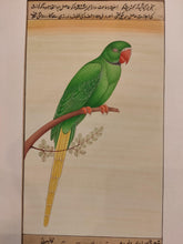 Load image into Gallery viewer, Hand Painted Parrot Bird Birds Miniature Painting India Artwork Paper Nature - ArtUdaipur
