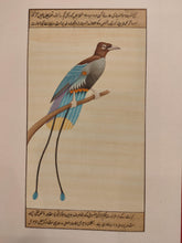 Load image into Gallery viewer, Hand Painted Bird Birds Miniature Painting India Artwork Paper Nature - ArtUdaipur
