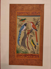 Load image into Gallery viewer, Bird Watching