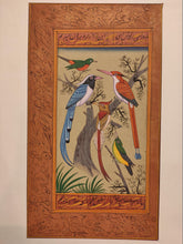 Load image into Gallery viewer, Buy Beautiful Birds on Paper Nature