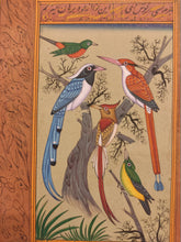 Load image into Gallery viewer, Indian Miniature Painting Birds Collection