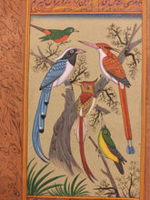 Load image into Gallery viewer, Birds Collection for your Home Decoration