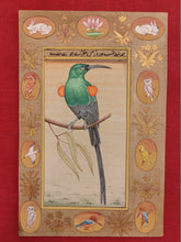 Load image into Gallery viewer, Birds of Paradise Flower-Plants