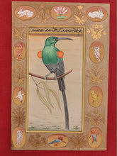 Load image into Gallery viewer, Beautiful Collection of Bird Paintings