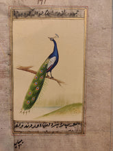 Load image into Gallery viewer, Peacock Bird on Old Paper Miniature Painting India - ArtUdaipur