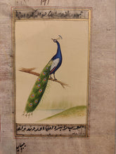 Load image into Gallery viewer, Peacock Bird on Old Paper Miniature Painting India - ArtUdaipur