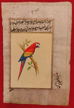 Load image into Gallery viewer, ColorFul Red Color Peacock Bird Old Paper Tree Painting - ArtUdaipur