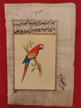 Load image into Gallery viewer, ColorFul Red Color Peacock Bird Old Paper Tree Painting - ArtUdaipur