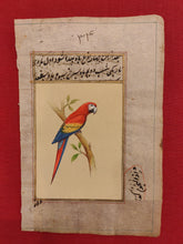 Load image into Gallery viewer, ColorFul Red Color Peacock Bird Old Paper Tree Painting - ArtUdaipur
