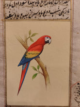 Load image into Gallery viewer, ColorFul Red Color Peacock Bird Old Paper Tree Painting - ArtUdaipur