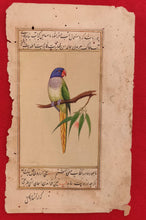 Load image into Gallery viewer, Parrot Bird Painting Artwork