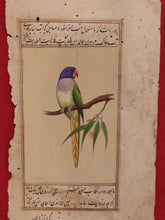 Load image into Gallery viewer, ColorFul Peacock Bird on Old Paper Painting Miniature - ArtUdaipur