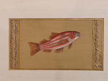 Load image into Gallery viewer, Hand Painted Fish Animal Miniature Painting India Art Aquatic - ArtUdaipur