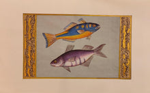 Load image into Gallery viewer, Fish Animal Miniature Painting India Art Nature Paper Aquatic Life - ArtUdaipur