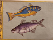 Load image into Gallery viewer, Fish Animal Miniature Painting India Art Nature Paper Aquatic Life - ArtUdaipur