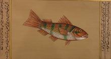 Load image into Gallery viewer, Fish Painting Artwork Aquatic Life