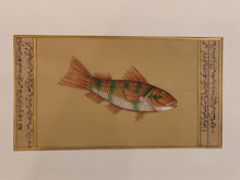Load image into Gallery viewer, Fish Animal Miniature Painting India Art Nature on Paper Aquatic - ArtUdaipur