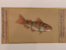 Load image into Gallery viewer, Fish Animal Miniature Painting India Art Nature on Paper Aquatic - ArtUdaipur