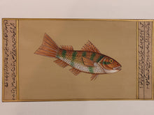 Load image into Gallery viewer, Fish Animal Miniature Painting India Art Nature on Paper Aquatic - ArtUdaipur