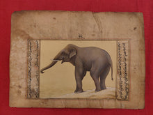 Load image into Gallery viewer, Hand Painted Elephant Animal Miniature Painting India Art Nature Paper WildLife - ArtUdaipur