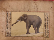 Load image into Gallery viewer, Hand Painted Elephant Animal Miniature Painting India Art Nature Paper WildLife - ArtUdaipur