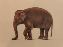 Load image into Gallery viewer, Hand Painted Elephant Animal Miniature Painting India Art Nature Paper WildLife - ArtUdaipur