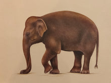 Load image into Gallery viewer, Hand Painted Elephant Animal Miniature Painting India Art Nature Paper WildLife - ArtUdaipur