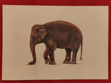 Load image into Gallery viewer, Hand Painted Elephant Animal Miniature Painting India Art Nature Paper WildLife - ArtUdaipur