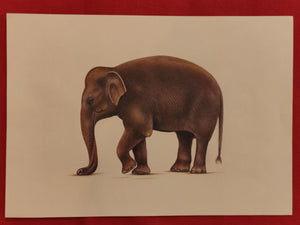 Hand Painted Elephant Animal Miniature Painting India Art Nature Paper WildLife - ArtUdaipur