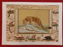 Load image into Gallery viewer, Hand Painted Leopard Animal Miniature Painting India Art on Rice Paper WildLife - ArtUdaipur