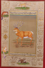 Load image into Gallery viewer, BaraSingha Animal WildLife Painting Artwork