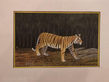 Load image into Gallery viewer, Hand Painted Tiger Animal Miniature Painting India Art Nature Paper WildLife - ArtUdaipur