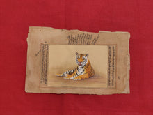 Load image into Gallery viewer, Hand Painted Tiger Animal Miniature Painting India Art Nature on Old Paper - ArtUdaipur