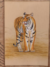 Load image into Gallery viewer, Hand Painted Tiger Animal Miniature Painting India Art WildLife on Old Paper - ArtUdaipur