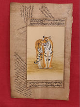 Load image into Gallery viewer, Hand Painted Tiger Animal Miniature Painting India Art WildLife on Old Paper - ArtUdaipur