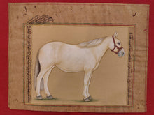 Load image into Gallery viewer, Hand Painted Horse Power Animal Miniature Painting India Art Nature on Paper - ArtUdaipur