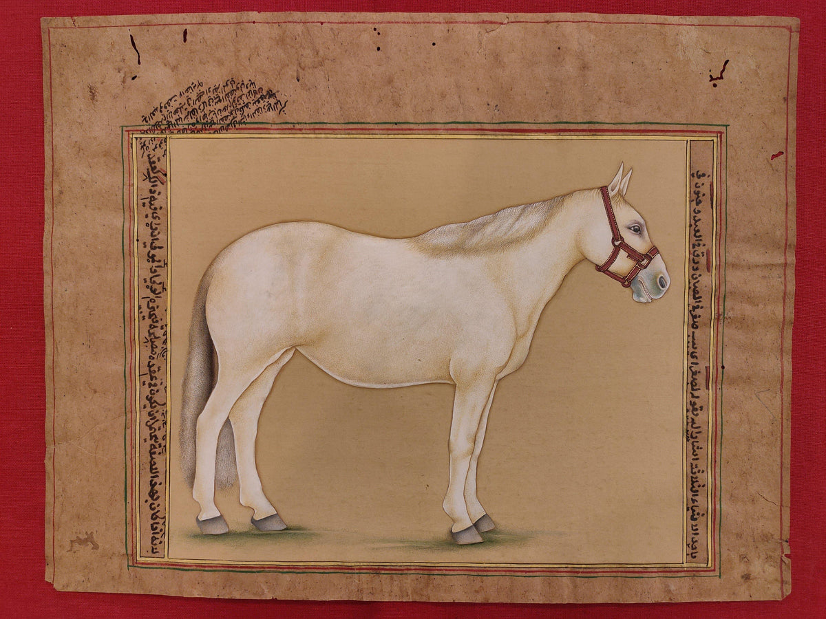 Hand Painted Horse Power Animal Miniature Painting India Art Nature on