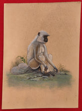 Load image into Gallery viewer, Hand Painted Monkey Langur Animal Miniature Painting India Art Nature on Paper - ArtUdaipur