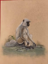 Load image into Gallery viewer, Hand Painted Monkey Langur Animal Miniature Painting India Art Nature on Paper - ArtUdaipur